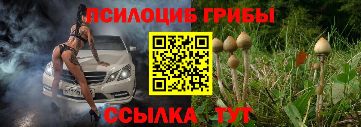 Псилоцибиновые грибы MAGIC MUSHROOMS  Псилоцибиновые грибы мухоморы  Вход с VPN  даркнет сайт  Кольчугино 