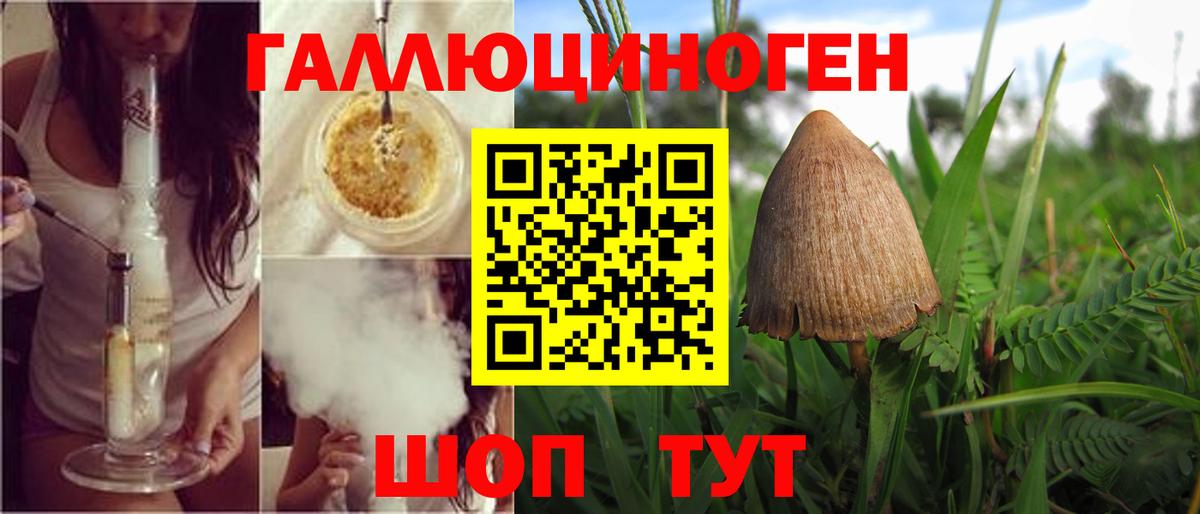 Галлюциногенные грибы мицелий Кольчугино